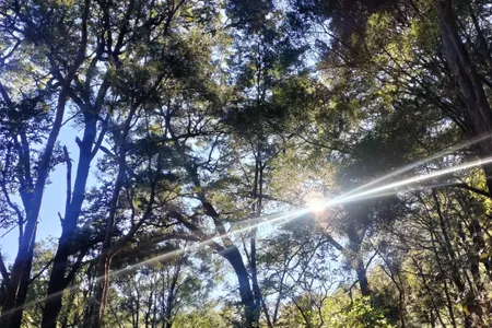 Pukaka Valley Track