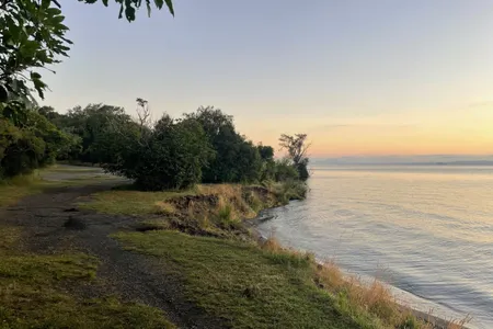 Pukawa - Kuratau River return