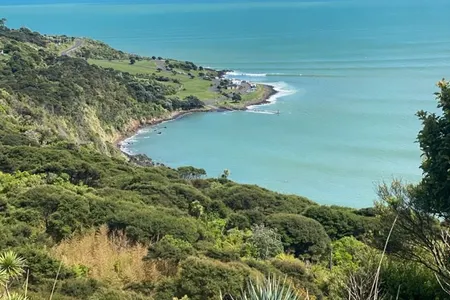 Raglan Whāingaroa Beach and Bush