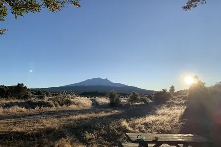 Rangataua Forest Lap