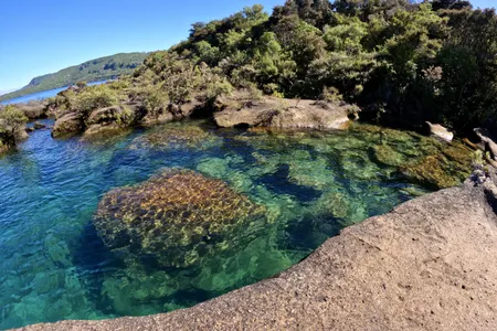Rangatira Ramble