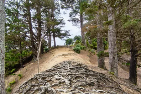 Sanders Reserve