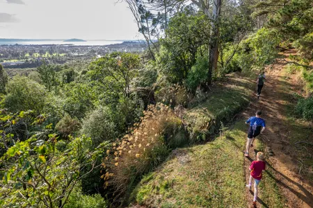 Pohaturoa Trig 5km Loop