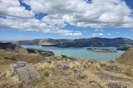 Sign Of The Takahe - Rapaki