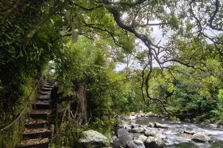 Stratford River Trail