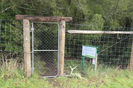 Sutherland's Puriri Bush