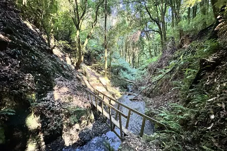 Tawhiuau