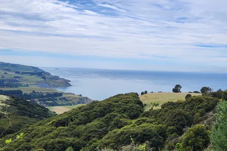 Te Ara Tawhai Tiromoana Bush trail loop