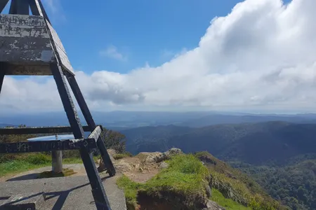 Te Aroha Summit Loop