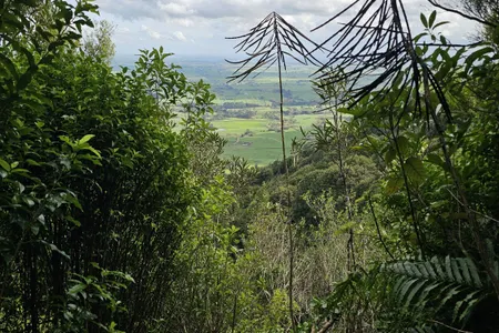 Te Whare Okioki & Mangamuka Huts Loop