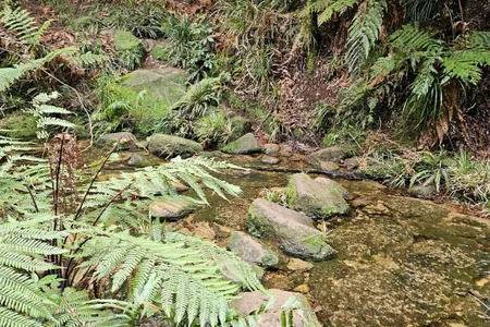 Te Whare Okioki & Mangamuka Huts Loop