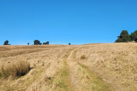 The Gates of Montgomery