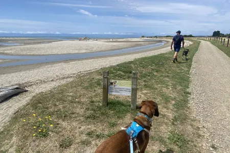 The Trails of Mot