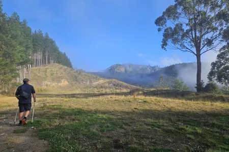 Tinui ANZAC Walkway
