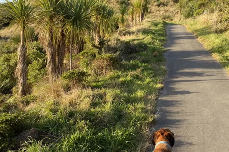 Tour of Newlands, Woodridge, Paparangi