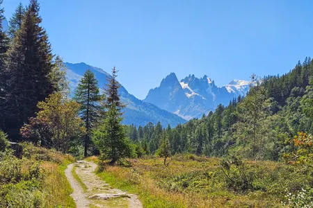 UTMB last dance: Vallorcine > Chamonix