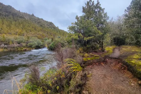 Waihāhā Hut Return