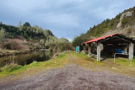 Waihaha Trail - Out & Back