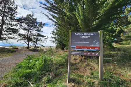 Waikuku Beach and Estuary Loop