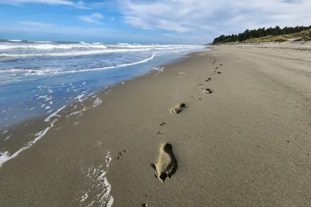 Waikuku Beach and Estuary Loop