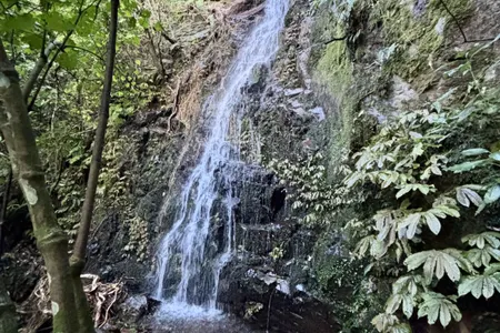 Waiorongomai Valley Adventures