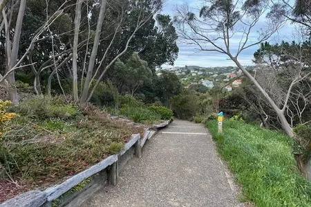 Wellington City to Sea & Southern Walkway Loop