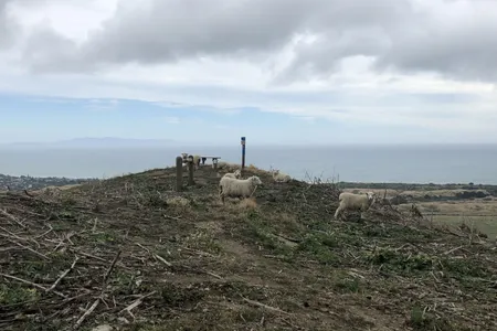 Western Hills brief trot