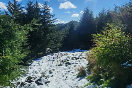 Whare Flat to Pulpit Rock 