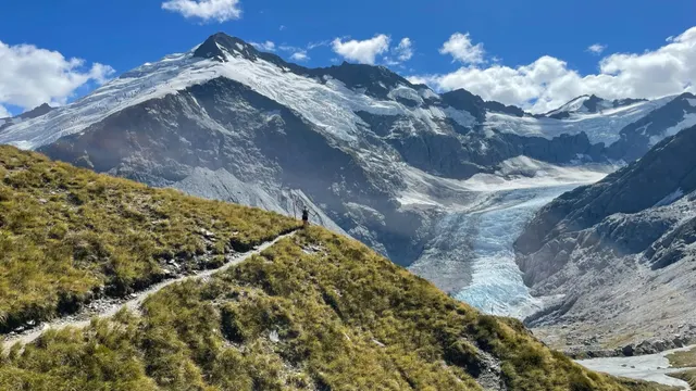 Wild Challenges