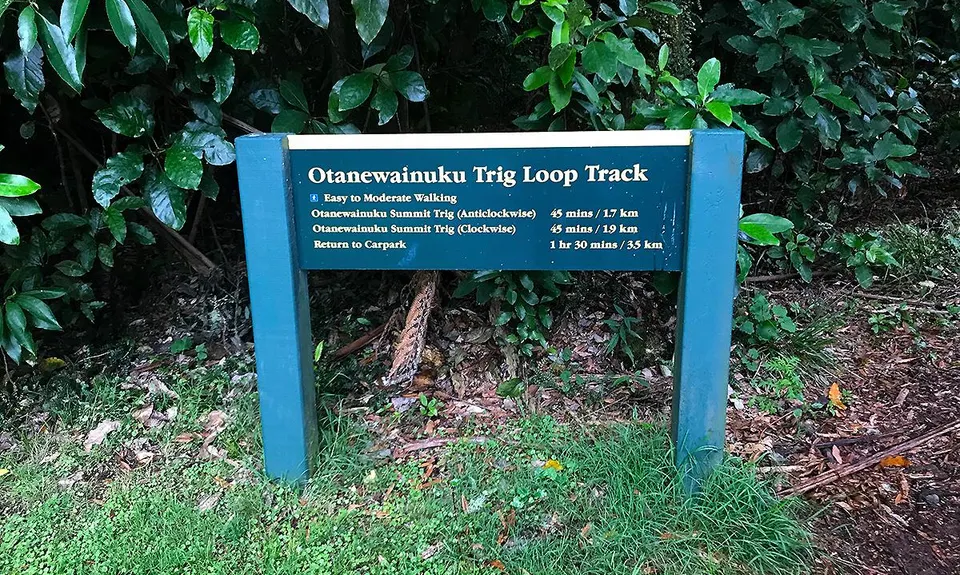 Otainewainuku - Whataroa Falls, Bay of Plenty
