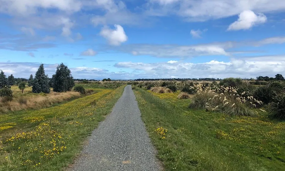 Invercargill Estuary, Southland