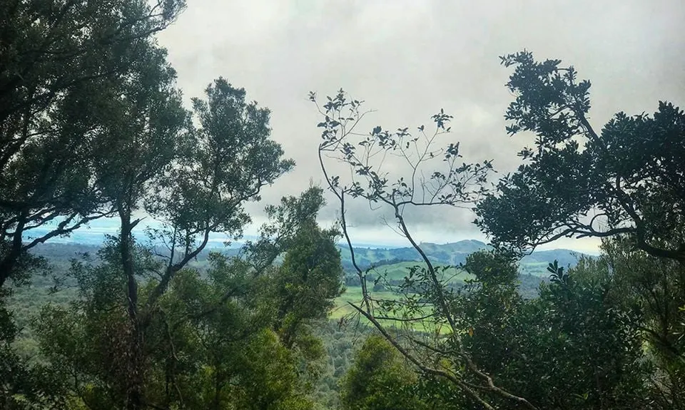 Otainewainuku - Whataroa Falls, Bay of Plenty