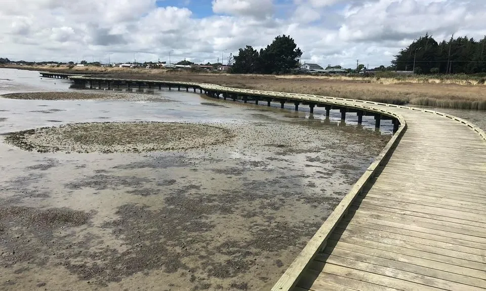 Invercargill Estuary, Southland