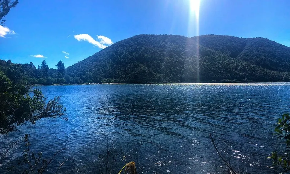 Whakarewarewa Circuit - the Black Track, Bay of Plenty