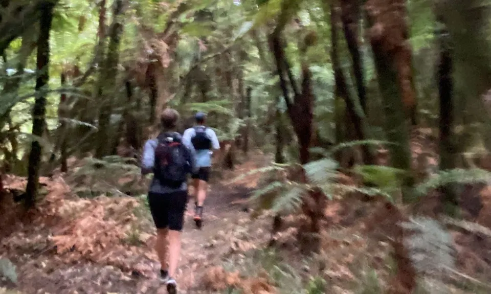 Whakamarama Loop, Bay of Plenty