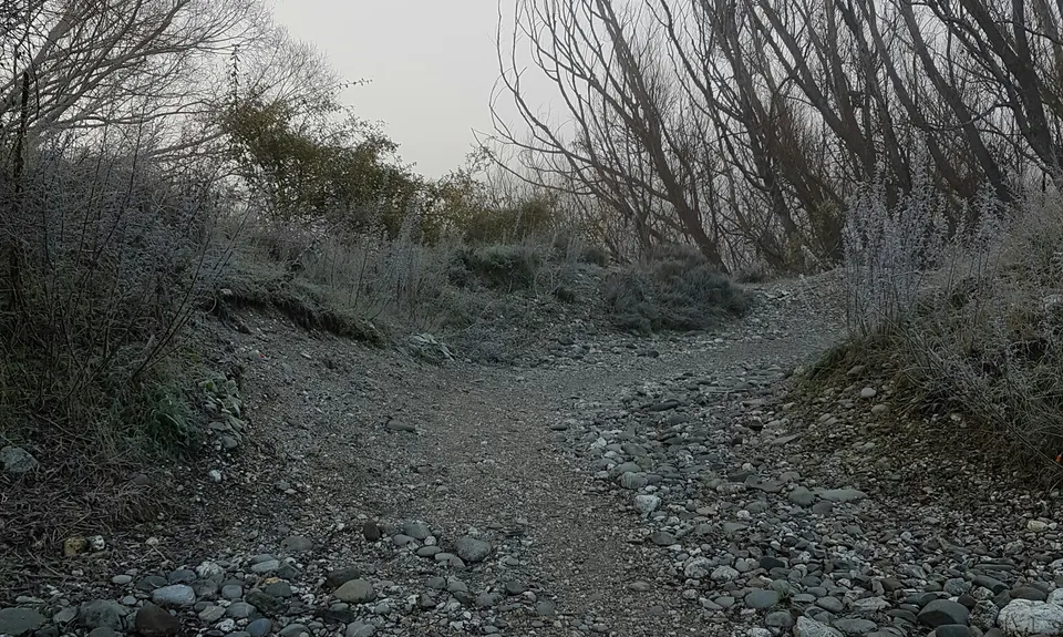 Alex to Clyde... And Back!, Otago