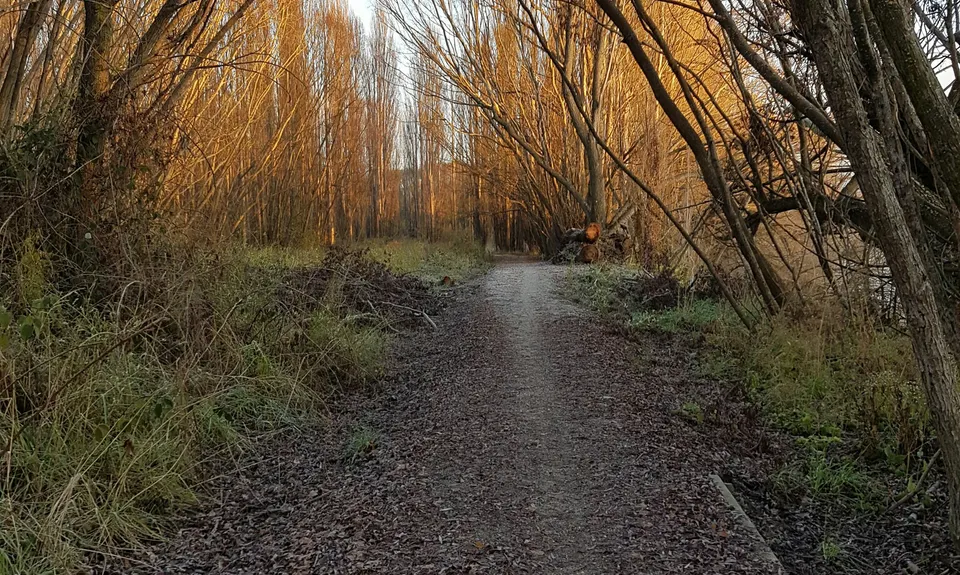 Alex to Clyde... And Back!, Otago