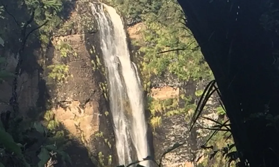 Cascade Kauri V2, Auckland