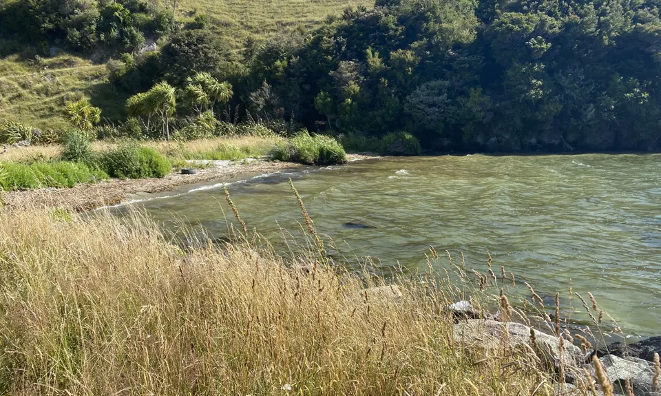 Lake Okareka Walkway, Bay of Plenty