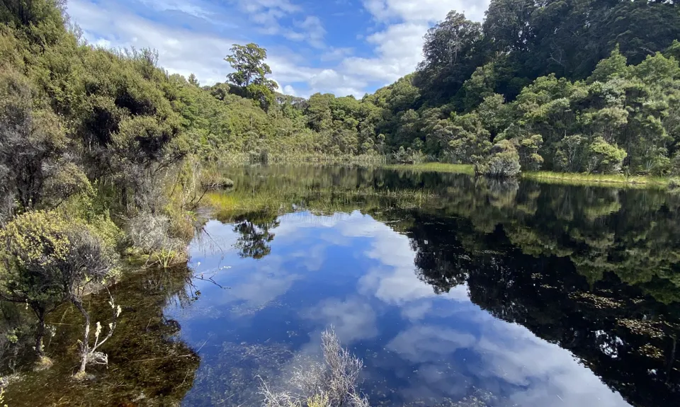 Tautuku Tiki Tour, Otago