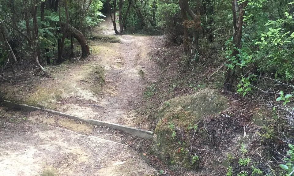Whangamumu Track & Whaling Station, Northland
