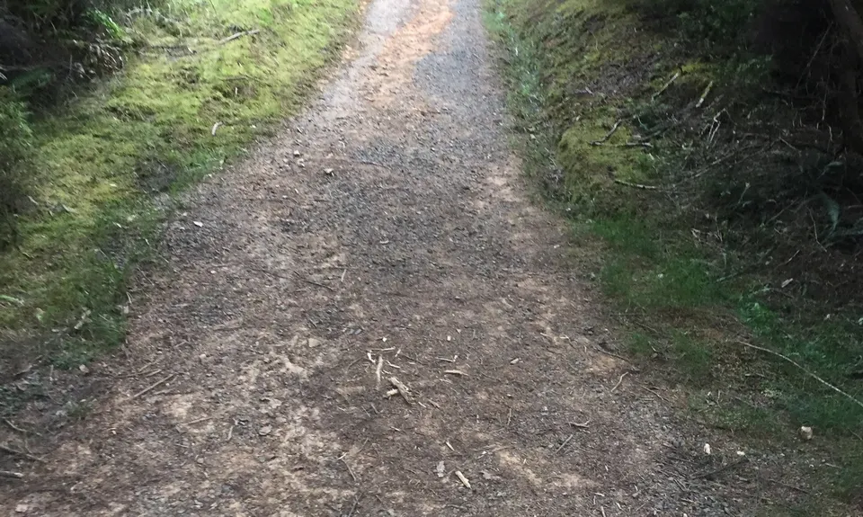 Whangamumu Track & Whaling Station, Northland