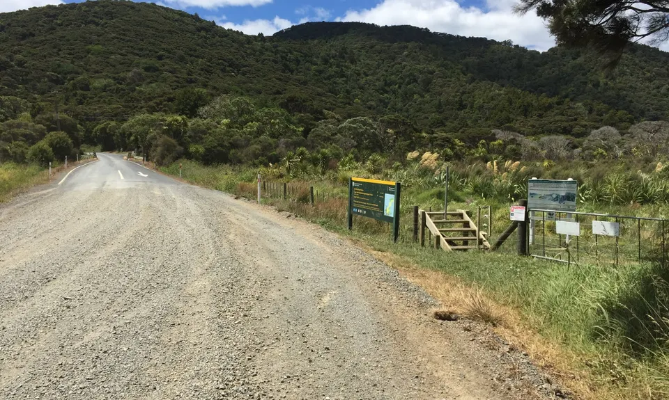 Whangamumu Track & Whaling Station, Northland