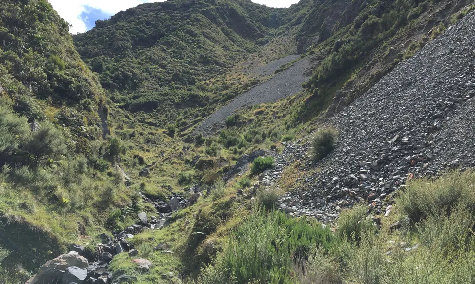 Mt Matthews - Mukamuka Loop, Wellington