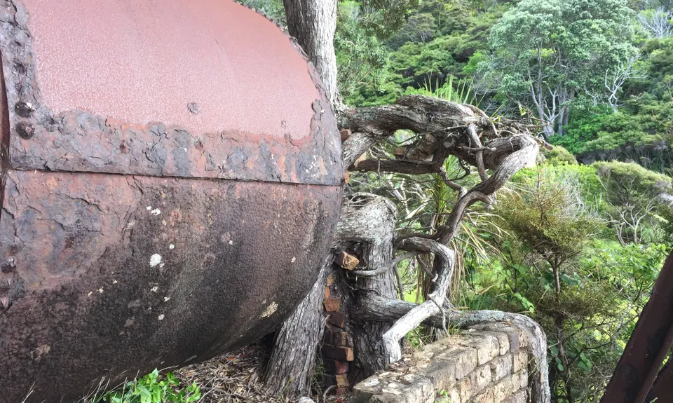 Whangamumu Track & Whaling Station, Northland