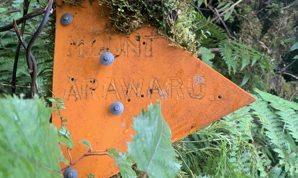 Sledge Track with Toetoe Loop & Otangane Loop, Manawatu - Wanganui