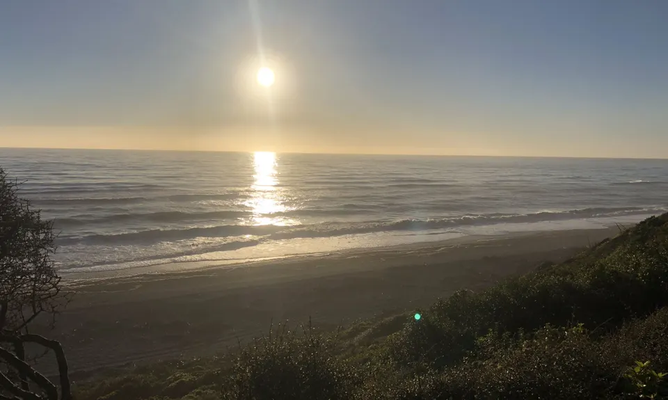 Point Elizabeth Track, West Coast
