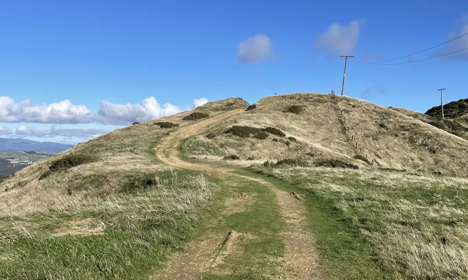 Colonial Knob - All the Hills, Wellington
