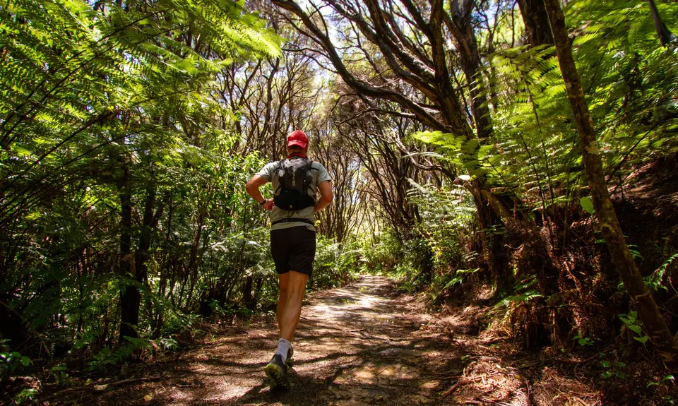 Separation Point Loop, Tasman