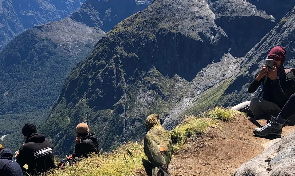 Gobsmacking Gertrude, Southland